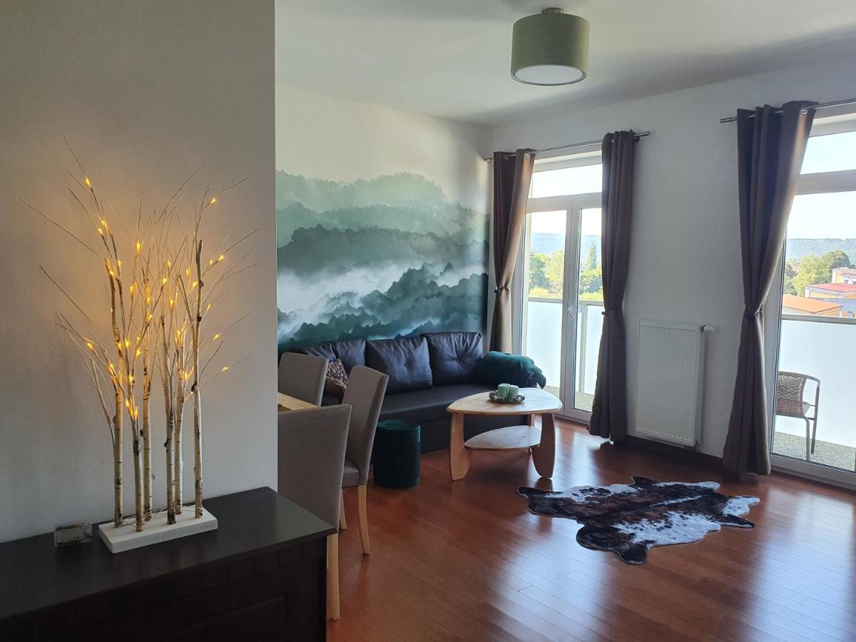 Appartamento Apartmán s wellness Karlovy Vary Esterno foto